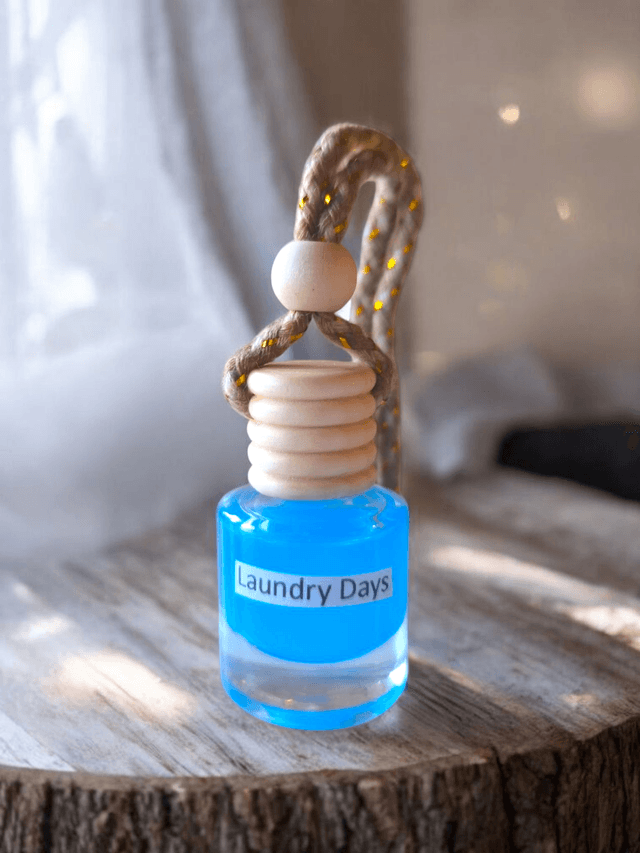 Laundry Days Fresh Car Diffuser